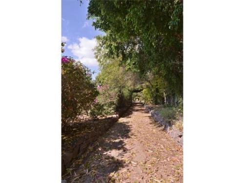 Pasillo de los jardines