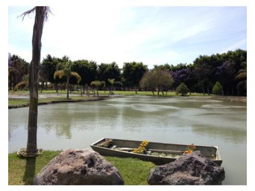 Lago en instalaciones