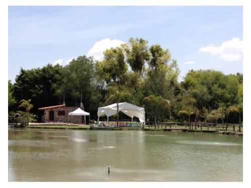 Montaje para ceremonia civil