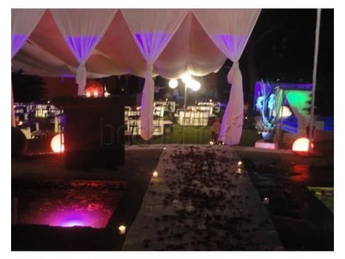 Tu boda simplemente inolvidable