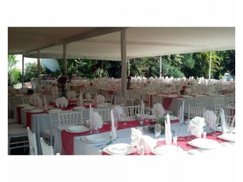 Experiencia garantizada