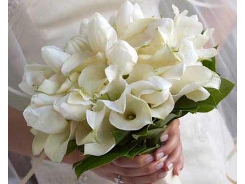 Ramos: principal, el de aventar y el de la virgen