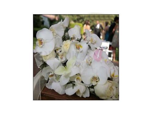 Decoración floral conoce la importancia que tienen las flores de boda