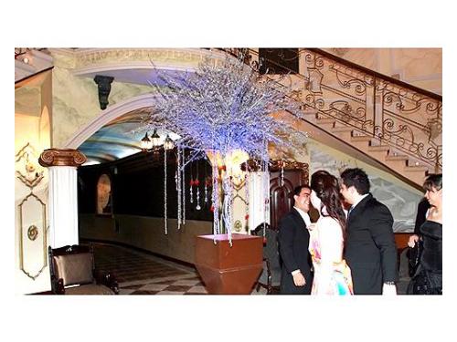 Hermosas instalaciones para una boda inolvidable