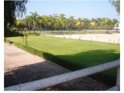 Jardines cuidados al máximo para recibir tu boda