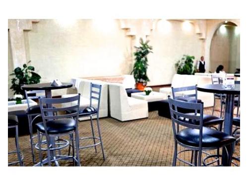 Salas lounge y periqueras