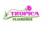 logo floreria Tropica logo floreria Tropica