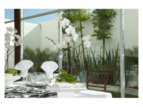 Variedad en montajes