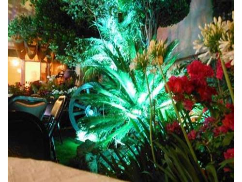 Iluminación  de noche