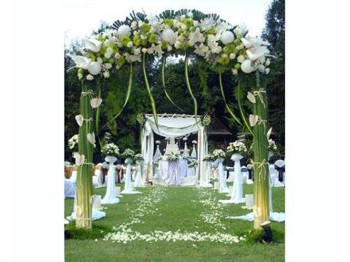 Disfruta de la naturaleza