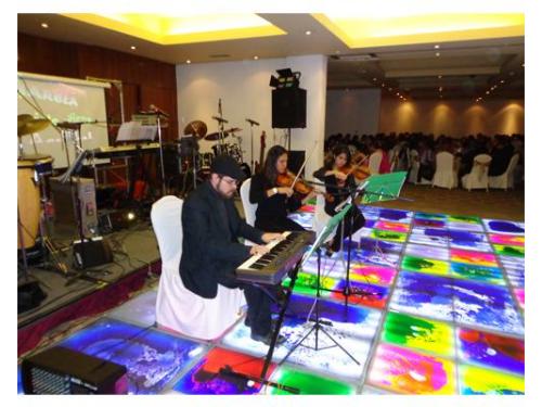 Música en vivo para recepción