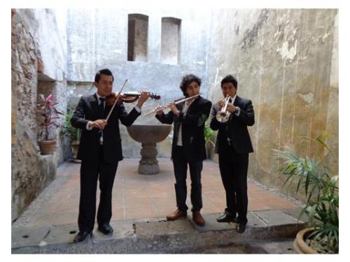 Variedad de instrumentos