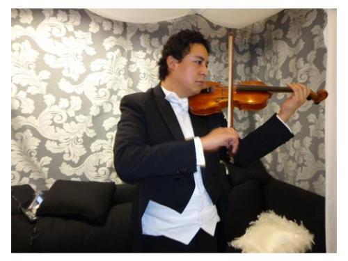 Músicos profesionales