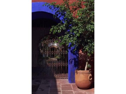 Macetas con plantas en todo el lugar