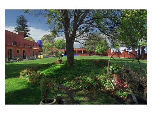 Naturaleza en todo el jardín de bodas