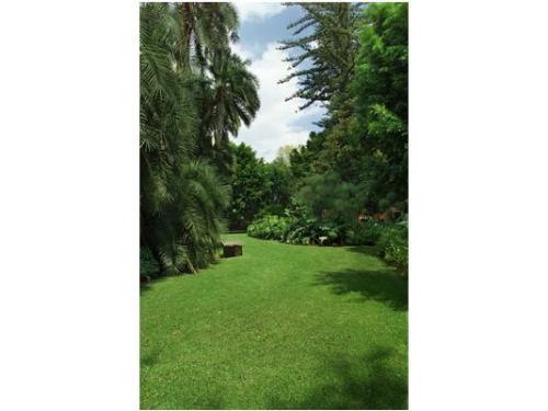 Una vista totalmente verde