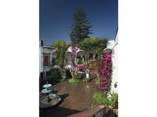 Un patio lleno de flores y plantas