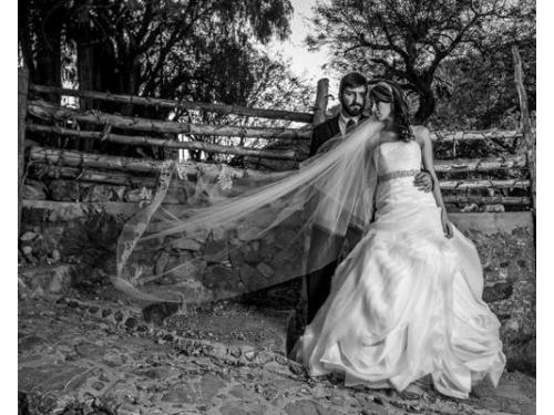 Elegantes fotografías blanco y negro