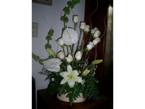 Diseños personalizados