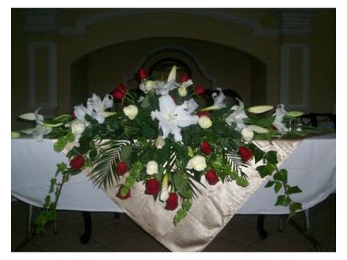 Diseños personalizados