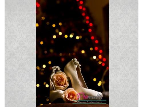 Cuidaran cada detalle