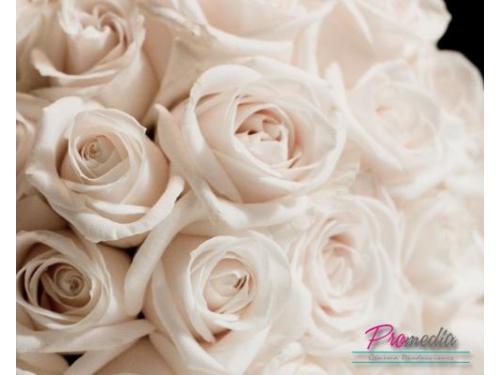 Cuidaran cada detalle