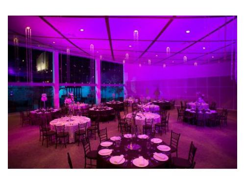 Hacen de tu boda un sueño hecho realidad