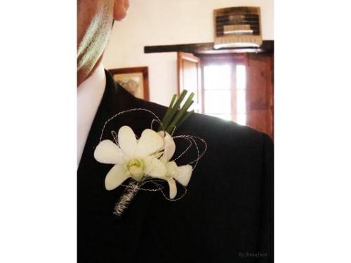 Botonier  de orquídeas