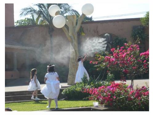 Todos los van a disfrutar