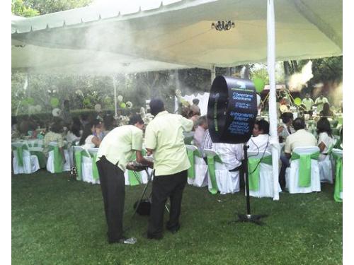 Servicio profesional