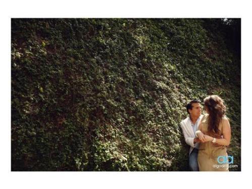 Propuestas de imagen