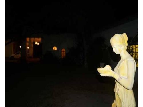 Detalles en el jardín