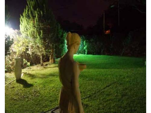 Gran iluminación en el jardín