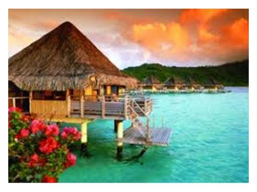 Vive una maravillosa luna de miel