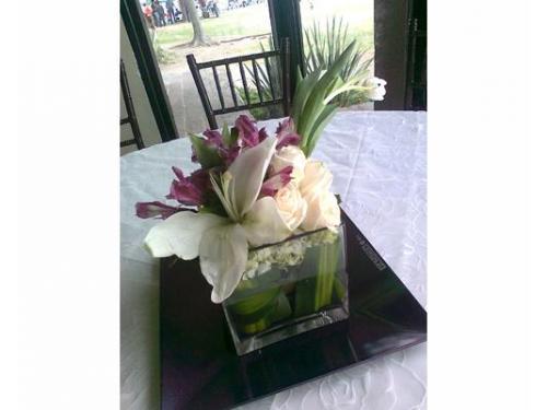 Crean diseños únicos