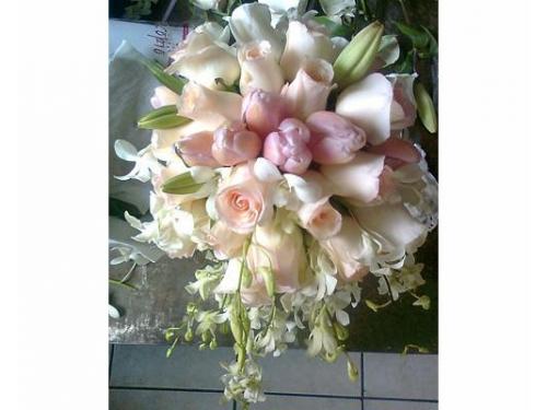 Diseñadores profesionales