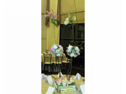 Elige el diseño que más te guste