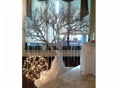 Árbol de los deseos