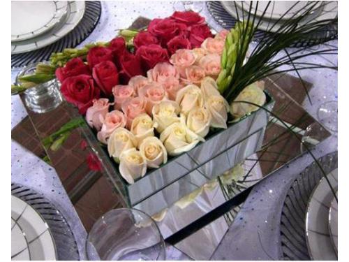 Un gran diseño en tu mesa