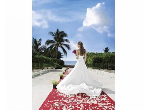 Sesión de fotos con la novia