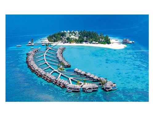 Tu luna de miel será inolvidable