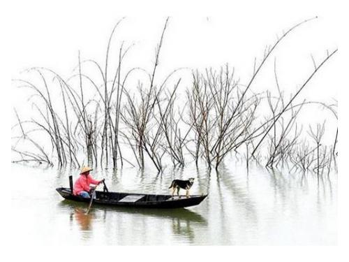 Tu luna de miel será inolvidable