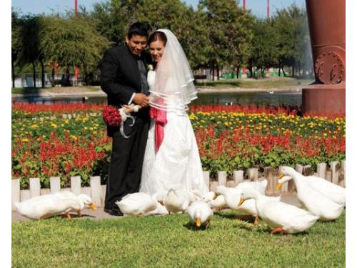 Sesión con las flores