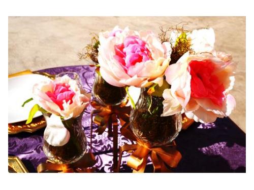 Elegancia, estilo y distincion en cada momento