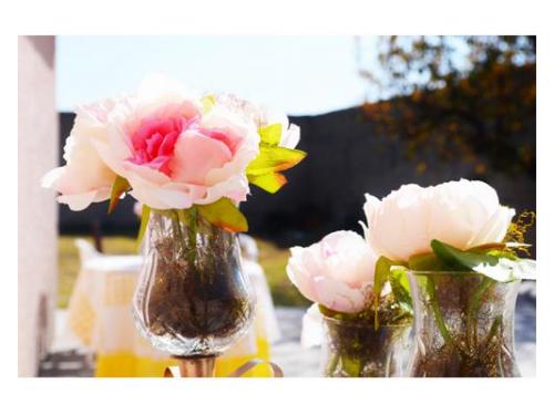 Cuidaran cada detalle