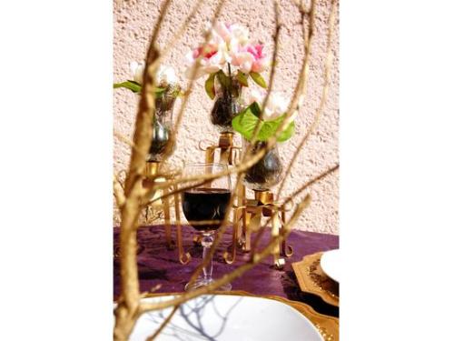 Elegancia, estilo y distincion en cada momento