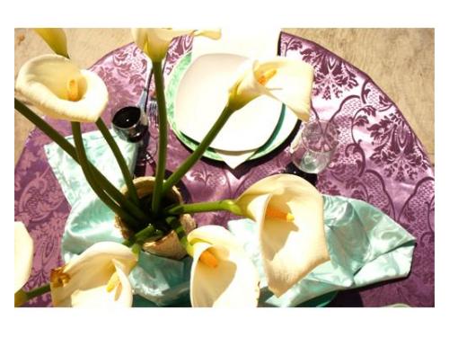 Cuidaran cada detalle