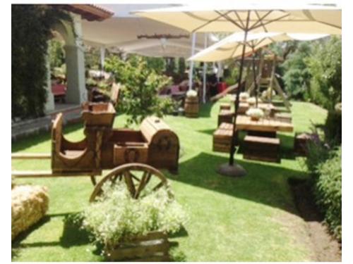 Iris organización y decoración de eventos