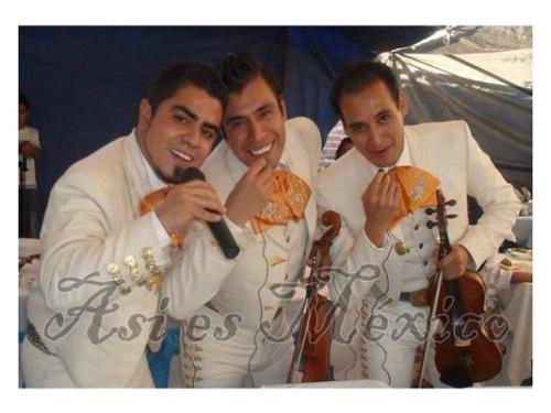 Amplia experiencia en bodas