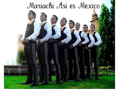 Mariachi profesional